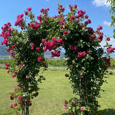 Landgasthof Bogner By Smk Event Und Gastro 4* アプサム